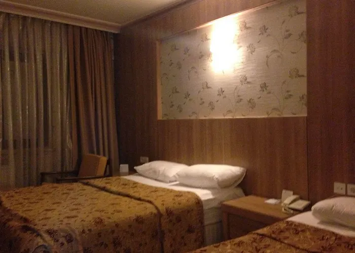 Hotel Capital 3*